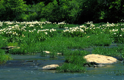 Cahaba River National Wildlife Refuge